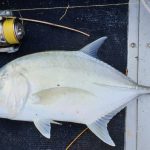 Estuary fishing in the Umzimkulu River in Port SHepstone